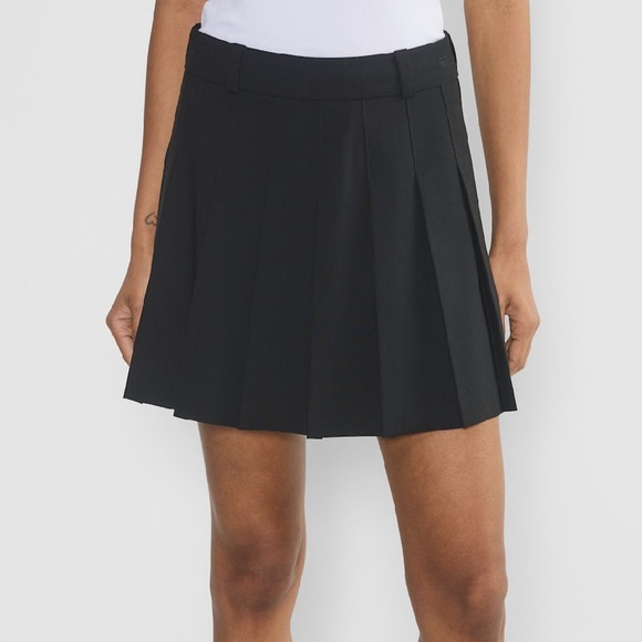 Aritzia Pleated Skirt - Never Worn (Size 4); Spring 2025 - Picture 3 of 12